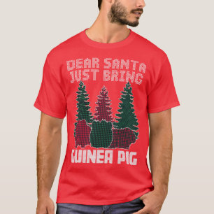 Lieve kerstman, breng cavia t-shirt