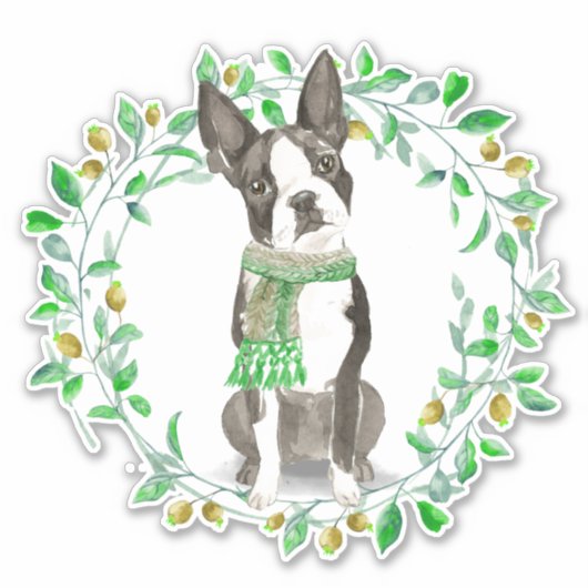 Lieve kleine Boston Terrier met sjaal Sticker (Voorkant)