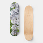 Lieve kleine engeltjes... skateboard (Voorkant)