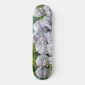 Lieve kleine engeltjes... skateboard (Voorkant)