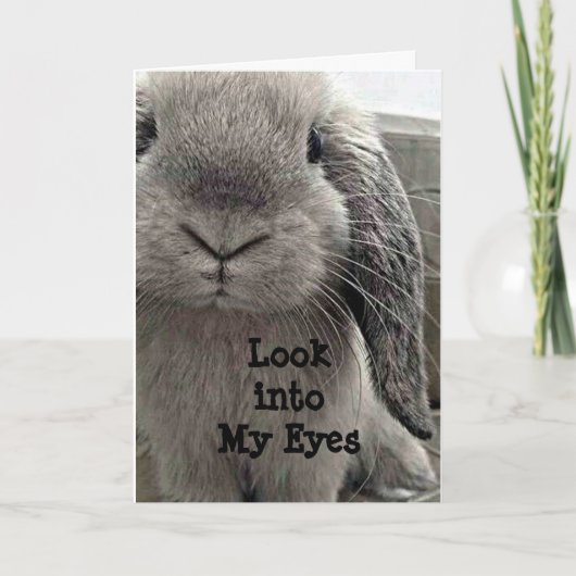 LIEVE KONIJN DIE LANGSKOMT OM GELUKKIGE VERJAARDAG KAART (Voorkant)