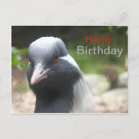 Lieve Kraanvogel Verjaardagskaart