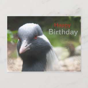 Lieve Kraanvogel Verjaardagskaart Briefkaart