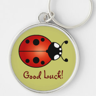 Lieve Lieveheersbeestje Rood Oranje Zwart Lievehee Sleutelhanger