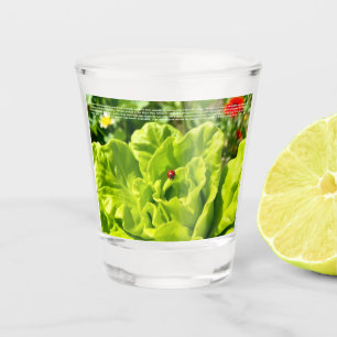 Lieve Lieveheersbeestje Shot Glas