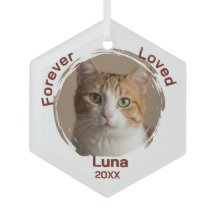 Lieve Persoonlijke Huisdierkat Onvergetelijke Herd