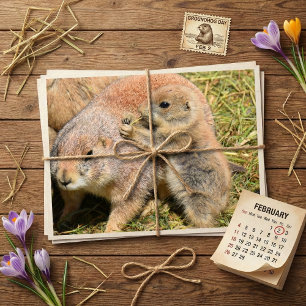 Lieve realistische foto van een grondhogerfamilie briefkaart