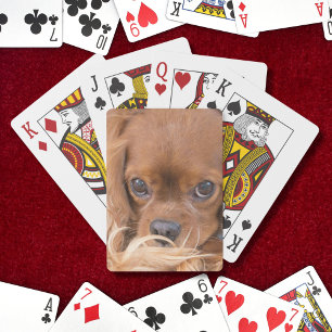 Lieve Ruby Cavalier King Charles Spaniel Pokerkaarten