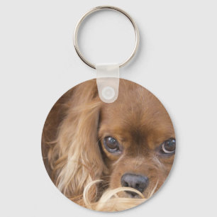 Lieve Ruby Cavalier King Charles Spaniel Sleutelhanger