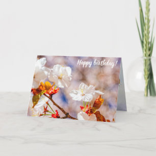 Lieve Sakura-ventilator op een zonnige dag van de  Kaart