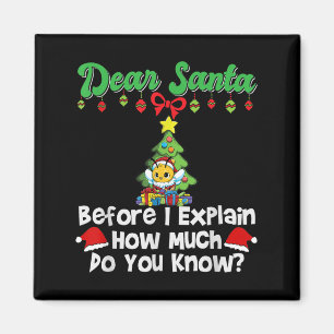 Lieve Sint, voordat ik het uitleg, hoeveel weet u? Magneet