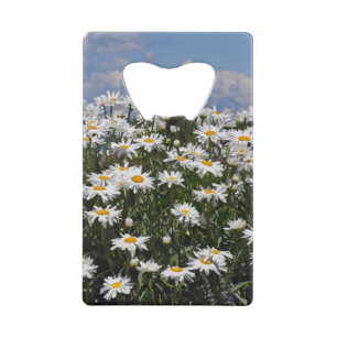 Lieve witte daisy-tuin kredietkaart flessenopener