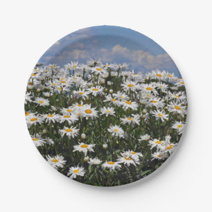 Lieve witte daisy-tuin papieren bordje