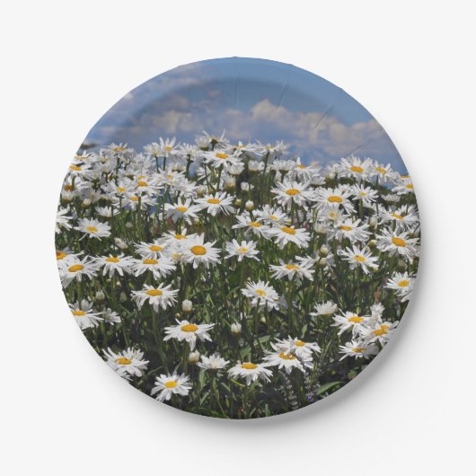 Lieve witte daisy-tuin papieren bordje (Voorkant)