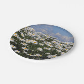 Lieve witte daisy-tuin papieren bordje (Gekanteld)