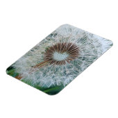 Lieve Witte Paardenbloem Magneet (Linkerzijde)
