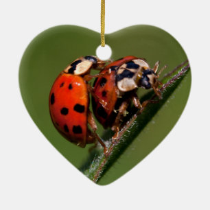 Lieveboeren In Love Keramisch Ornament