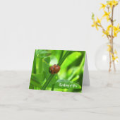 Lieveheersbeestje - Aan Jou Denkend Kaart (Gele Bloem)