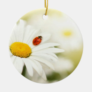 Lieveheersbeestje en een Daisy Keramisch Ornament