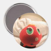 Lieveheersbeestje gezichtsmagneet magneet (Voorkant / Achterkant)