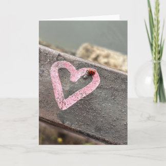 Lieveheersbeestje Hart Kaart