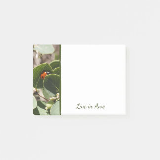 Lieveheersbeestje in groene bladeren Post-It-notit Post-it® Notes