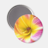 Lieveheersbeestje in Lilly Magneet (Voorkant / Achterkant)