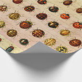 lieveheersbeestje insectenbeestje cadeaupapier (Hoek)