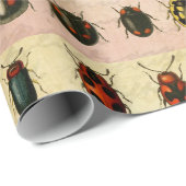 lieveheersbeestje insectenbeestje cadeaupapier (Rol Hoek)