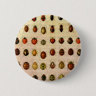 lieveheersbeestje insectenbeestje ronde button 5,7 cm