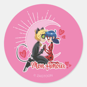 Lieveheersbeestje & kat Noir   Ma Amour Ronde Sticker