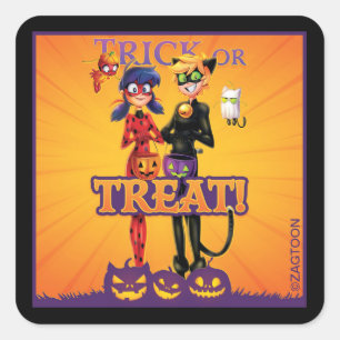 Lieveheersbeestje & kat Noir Trick or treat! Vierkante Sticker