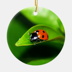 Lieveheersbeestje Keramisch Ornament