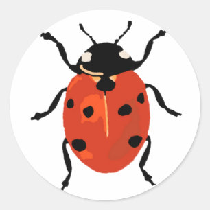 lieveheersbeestje kleine Sticker