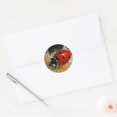 Lieveheersbeestje - Lady Beetles stickers (Envelop)