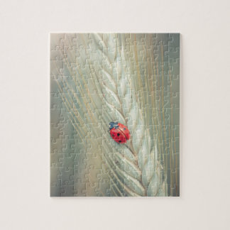 Lieveheersbeestje Legpuzzel