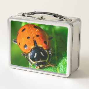 Lieveheersbeestje metalen lunchbox Macro natuuro