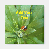 Lieveheersbeestje op Bloemen Magneet (Voorkant)