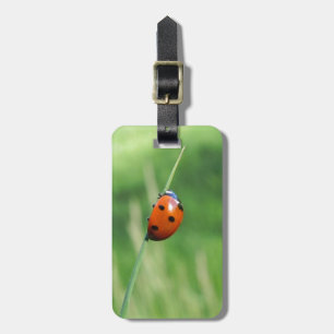 Lieveheersbeestje op een grasspriet bagagelabel