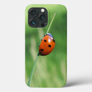 Lieveheersbeestje op een grasspriet iPhone 13 pro hoesje