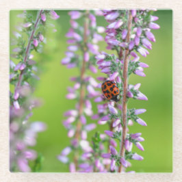 Lieveheersbeestje op paarse bloemen glazen onderzetter