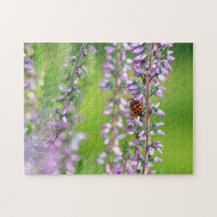 Lieveheersbeestje op paarse bloemen    legpuzzel