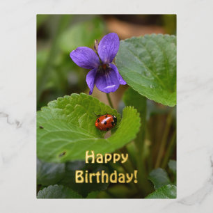 Lieveheersbeestje op zoete viooltjesbloemen folie feestdagen briefkaart