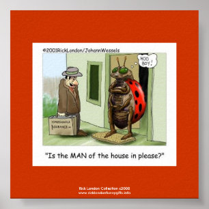 Lieveheersbeestje Problemen Cartoon Over Kwaliteit Poster