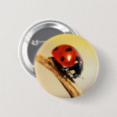 Lieveheersbeestje Ronde Button 5,7 Cm (Voorkant /achterkant)