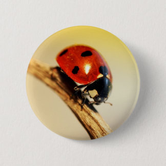 Lieveheersbeestje Ronde Button 5,7 Cm