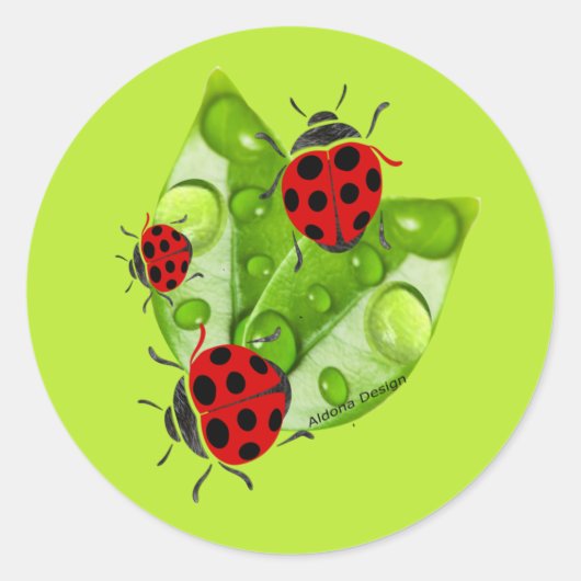 Lieveheersbeestje Sticker (Voorkant)