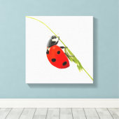 Lieveheersbeestje tekening canvas afdruk (Insitu (Houten vloer))