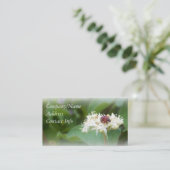 Lieveheersbeestje Visitekaartje (Staand voorkant)