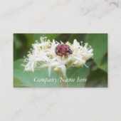 Lieveheersbeestje Visitekaartje (Achterkant)